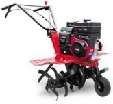 ����������� Pubert  Promo 65B C