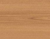 ������� Tarkett ������ ��������