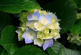 �������� ������2